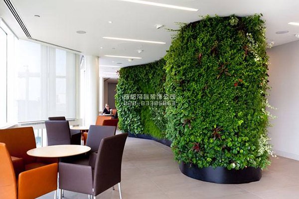 辦公室裝修完以后擺放什么綠植好？